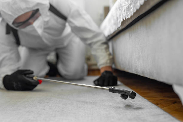 Professional Bed Bug Control technician working in El Dorado, KS