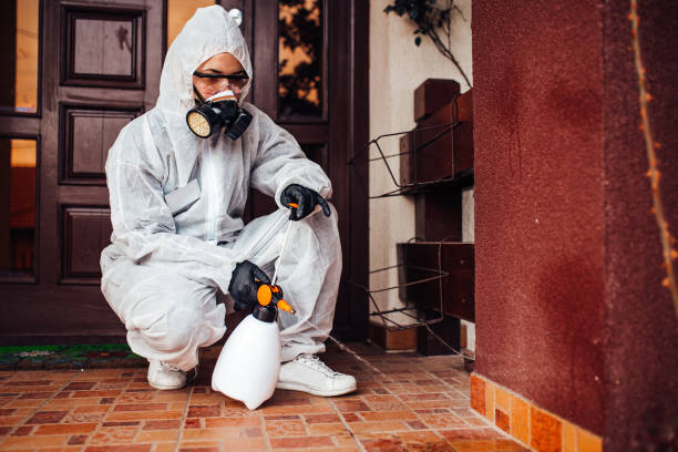 Reliable Bed Bug Control contractor in El Dorado, KS by Nex Pest Control