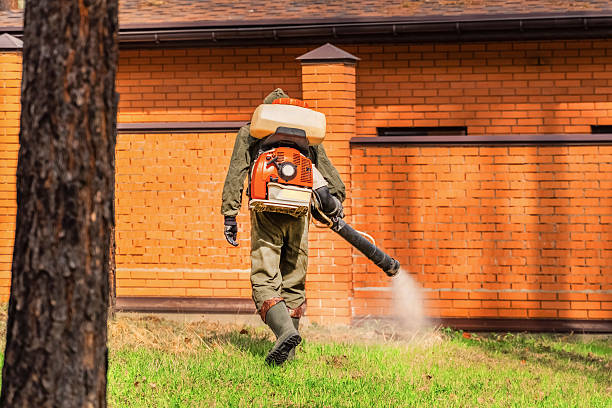 Trusted Ant Control service in El Dorado, KS - Nex Pest Control
